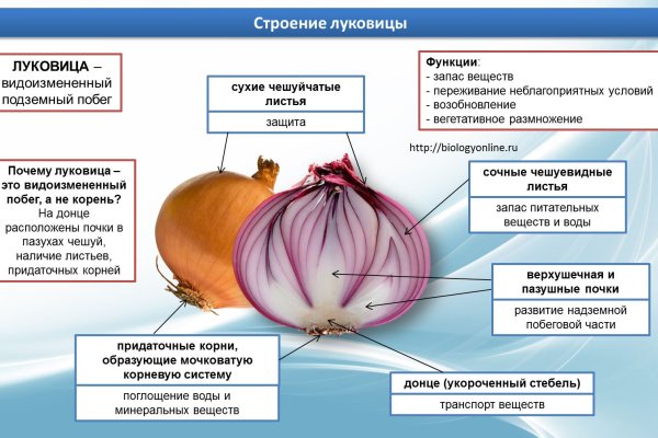 Кракен маркет даркнет только через